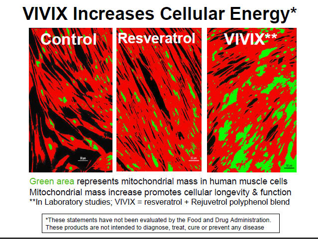 Vivix Cellular energy